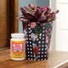 Mod Podge Plaid Mod Podge Matte Finish 8 Fl Oz 236 Ml view 4