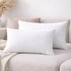 R home 12x20 Inch (30x50 cm) Cushion Filler  Pack of 2 Ultra Soft Microfibre Rectangular Throw Pillow Inserts, Fluffy & Durable Lumbar Cushion Pads for Sofa, Bed & Chairs view 1