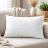 R home 12x20 Inch (30x50 cm) Cushion Filler  Pack of 2 Ultra Soft Microfibre Rectangular Throw Pillow Inserts, Fluffy & Durable Lumbar Cushion Pads for Sofa, Bed & Chairs view 3