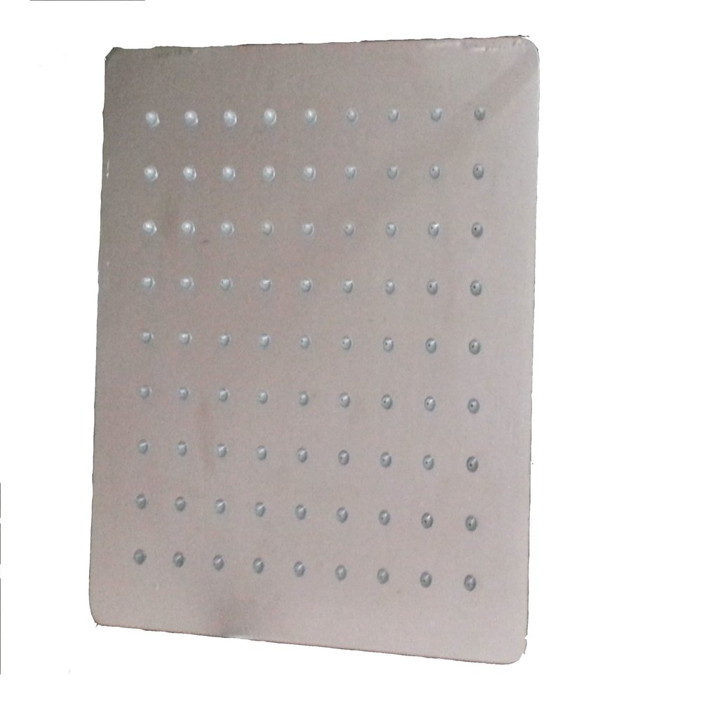 Dealsafe15 8" X 8" SS Rain Shower
