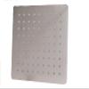 Dealsafe15 8" X 8" SS Rain Shower view 1