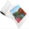 Mont Marte Canvas Pad - 280 GSM, 10 Sheets, A4 (White) view 4