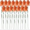 Fourwalls Artificial Synthetic Single Carnation Flower Stick (45 cm Tall, Set of 15, Yellow) (Peach) view 1