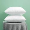 Urban Arts Premium Polyester Cushion Fillers - Pack of 2 Pcs | 16 x 16 Inches | White view 1