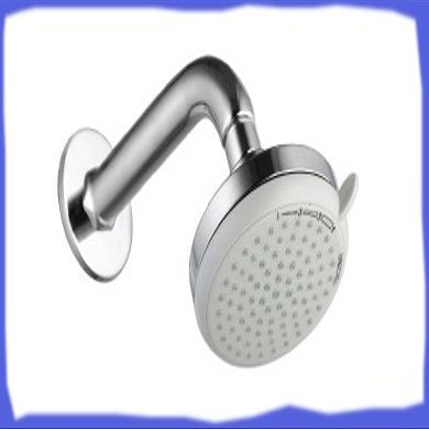 Debel OH-016 Multi Flow Overhead Shower ; 8 Inches SS Arm and Wall Cap