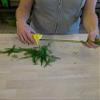 Oasis Foliage Remover, Fresh Flowers & Garden Foliage Remover for Floral Designs & Flower Arrangement, 1 No (4472-1) view 4