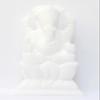 Jain Sidharthaa Ganesha Idol view 1