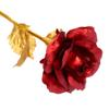 INTERNATIONAL GIFT Red Rose and Love Stand and Carry Bag (Red) view 3