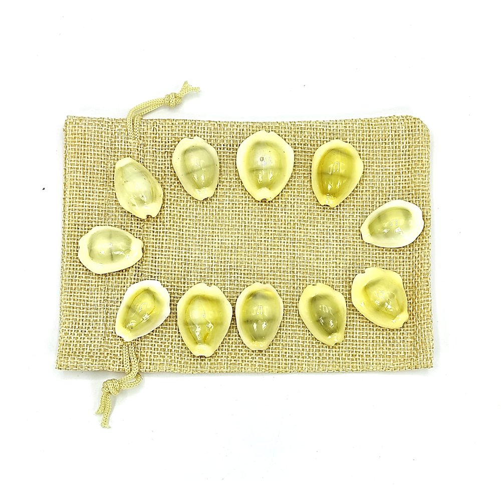 Plus Value Premium Yellow Lakshmi Kaudi | Peeli Kowdi Cowrie Sea Shell Pack of 11 pcs for Vastu Shastra, Remedies for Lakshmi & Diwali Pooja, Temple Decor & Astrology