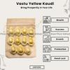Plus Value Premium Yellow Lakshmi Kaudi | Peeli Kowdi Cowrie Sea Shell Pack of 11 pcs for Vastu Shastra, Remedies for Lakshmi & Diwali Pooja, Temple Decor & Astrology view 2