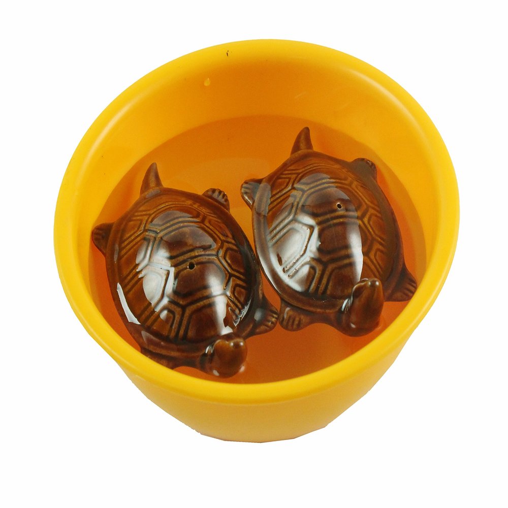 eshoppee vastu fengshui Floating Tortoise Turtle Pair in Bowl