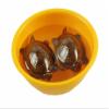 eshoppee vastu fengshui Floating Tortoise Turtle Pair in Bowl view 1