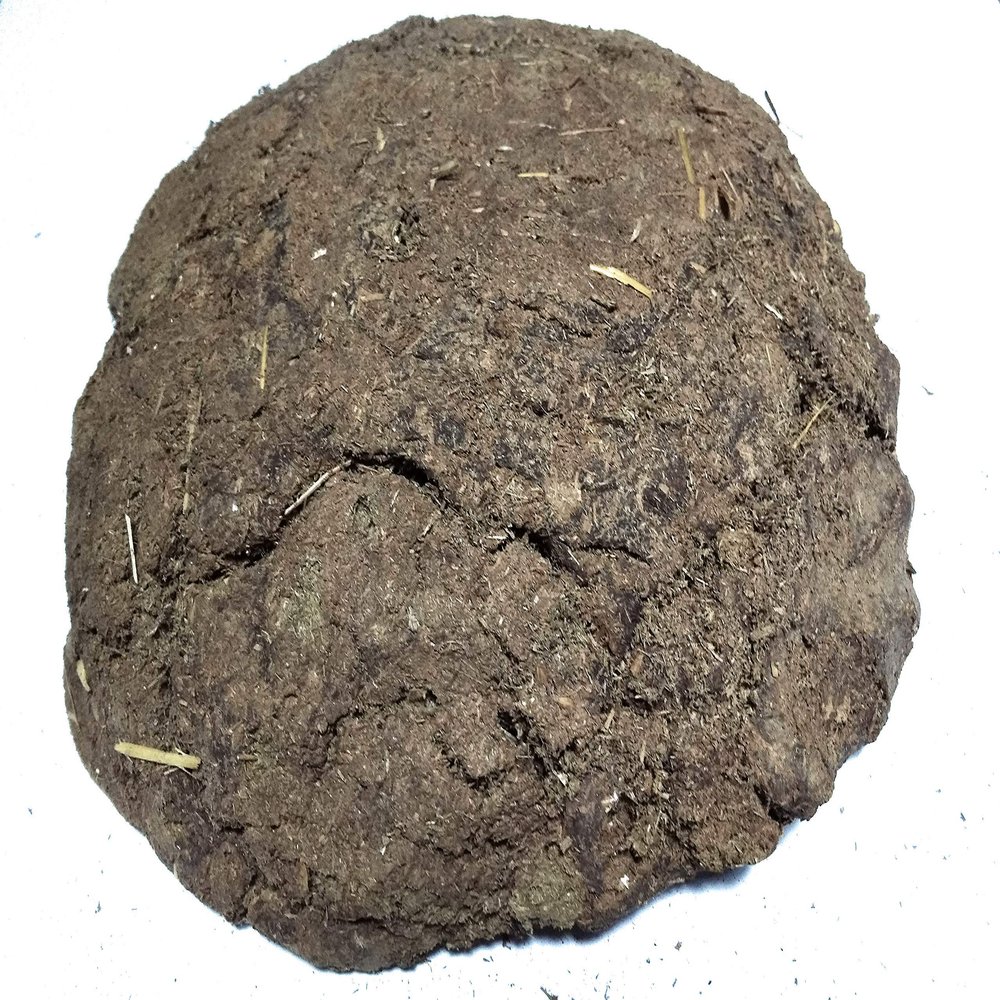 KESAR ZEMS Organic Homemade 100% Pure Cow Dung Cakes Set Of 5 Piece (20 X 20 X 3 CM, Gray)