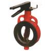 GOLD 3'' C.I. Butterfly Valve Nitrile Rubber M.S. Fabricated Handle (C I Disc) view 1