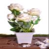 Pindia Decorative Artificial White Rose Flower Plant with Pot for Home & Office Decor-13 * 13 * 23 (cms) view 2