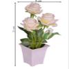 Pindia Decorative Artificial White Rose Flower Plant with Pot for Home & Office Decor-13 * 13 * 23 (cms) view 3