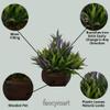 fancymart Plastic & Wood Artificial Bamboo Leaves Plant with Wood Hexagon Pot (26 cm x 26 cm x 20 cm view 3