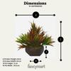 fancymart Plastic & Wood Artificial Bamboo Leaves Plant with Wood Hexagon Pot (20 Cm view 3
