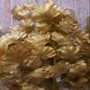 Samriddhi Artificial Leaf Golden Bonsai Wild Office Indoor Artificial Plant with Pot view 3