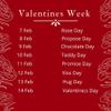Floralbay Red Roses Bouquet Fresh Flowers in Cellophane Wrapping (Bunch of 15) view 4