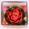 TiedRibbons Glass vases Home Decoration Square Glass Vessel with Faux Lotus and Natural Stones Flower Vases with Artificial Flowers view 4