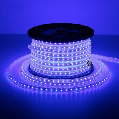 Mufasa LED Rope Light Indoor Outdoor Strip Home Decoration Lights, Diwali Festival Lights False Ceiling, Balcony 220V AC (Non Adhesive Back) (Blue, 5 Meter)