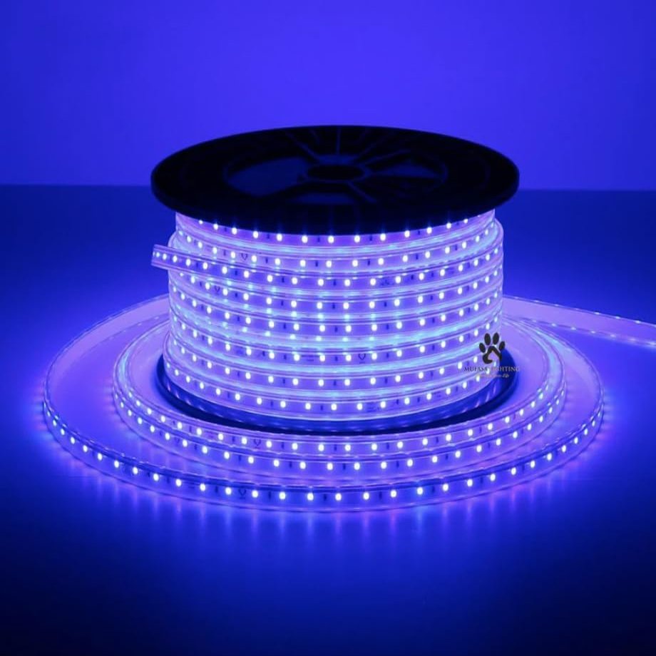 Mufasa LED Rope Light Indoor Outdoor Strip Home Decoration Lights, Diwali Festival Lights False Ceiling, Balcony 220V AC (Non Adhesive Back) (Blue, 5 Meter)