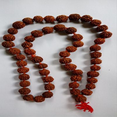 ISKCON Jagannath 5 Mukhi Rudraksha Jaap Mala, Certified (54+1 Beads)
