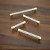 FAST CP33 Gold and Stainless Steel Cabinet Pull Handle for Wardrobe Door & All Other Cabinets Drawer 2pcs (224mm) view 1