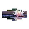 Paper Plane Design Multiple Frames Printed Water Lily Beautiful Flower Art Panels Like Painting - 5 Frames Split Painting Wall Decal (10 inch x 20 inch, Multicolour) view 3