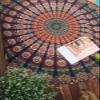 Textile Export Cotton Decorative Wall Hanging (72 inch, Multicolour) view 2