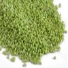 The Design Cart Opaque Peridot/Olive Green 2 Cut Beads/Glass Seed Beads (11/0-2.0 mm) (100 Grams) Standard Quality, for ? Jewellery Making, Beading, Arts and Crafts and Embroidery. view 1