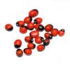 GoGreenWorld.in Abrus Seeds Beads (Red) view 2