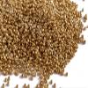 The Design Cart Light Uni Gold Round Seed Beads for Jewellery Making, Embroidery, Beading, Art and Craft Supplies (6/0-3.5 mm / 100 Grams) Standard Quality view 1