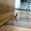JAAMSO ROYALS T-Rex Dinosaur Design Non-Slip Wooden Door Stoppers (Brown, Small) view 4