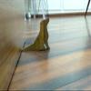 JAAMSO ROYALS Dog Design Small Non-Slip Wooden Door Stoppers view 4