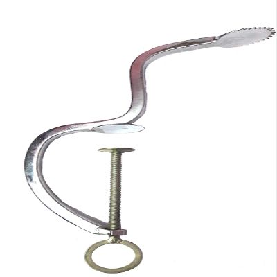 Gitachi Iron, Stainless Steel Coconut Scraper, Silver