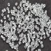 The Design Cart White Bicone Crystal Beads (6 mm) 1 String for ? Jewellery Making, Beading, Arts and Crafts and Embroidery. view 1