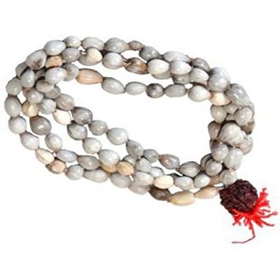 S.L Enterprises Seeds Of Sacred Vaijayanti Plant Pooja Mala, Standard, White