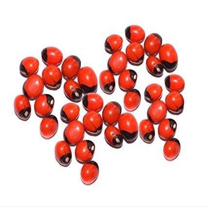 Pmw - Mantra Siddha Laa Chirmi Red Gunja Seeds for Lakshmi Upasna Sadhna Gurivinta Seeds 51 Pieces