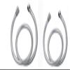 SHRUTI Shower Tube Full Silver (Pipe for Hand Faucet in Toilet & Bathroom) 2 Meter Pack of 2 Piece (1167 Full Cp) view 2