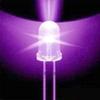 Invento 50Pcs 5mm Round Ultra Violet LED UV Light 390-395nm Purple LED Lamp for DIY Projects view 3