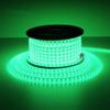 Mufasa LED Rope Light Indoor Outdoor Strip Home Decoration Lights, Diwali Festival Lights False Ceiling, Balcony 220V AC (Non Adhesive Back) (Green, 5 Meter) view 1