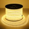 Mufasa LED Rope Light Indoor Outdoor Strip Home Decoration Lights, Diwali Festival Lights False Ceiling, Balcony 220V AC (Non Adhesive Back) (Warm White, 5 Meter) view 1