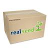 Real Seed Wooden God Khadau, Khadau for Puja, God Footwear for Worship (Size - 10 x 5 CMS) view 2