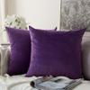 Khooti Velvet Cushion Cover, 12x12 | Purple | Pack of 2 | Solid Plain Soft & Smooth, Decorative Cushion Covers for Living Room, Bedroom, Couches, Chairs, Sofas, Beds & Home Decor view 1
