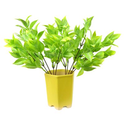 DecoreBugs' Pair of Artificial Plant Bunches (Set of 2) Latex Plant -Without Pot(Height 30 cms / 12 inchs)