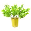 DecoreBugs' Pair of Artificial Plant Bunches (Set of 2) Latex Plant -Without Pot(Height 30 cms / 12 inchs) view 1