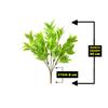 DecoreBugs' Pair of Artificial Plant Bunches (Set of 2) Latex Plant -Without Pot(Height 30 cms / 12 inchs) view 4