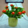 DecoreBugs' Pair of Artificial Plant Bunches (Set of 2) Fruit Bunch Plant -Without Pot (Height 30 cms / 12 inchs) view 1